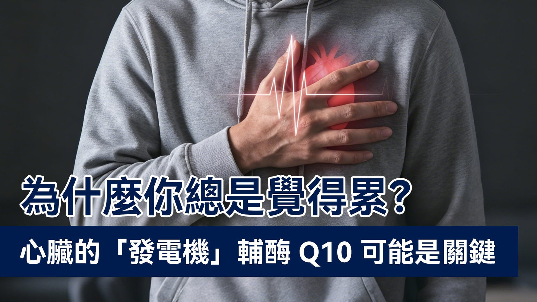 為什麼你總是覺得累？心臟的「發電機」輔酶 Q10 可能是關鍵