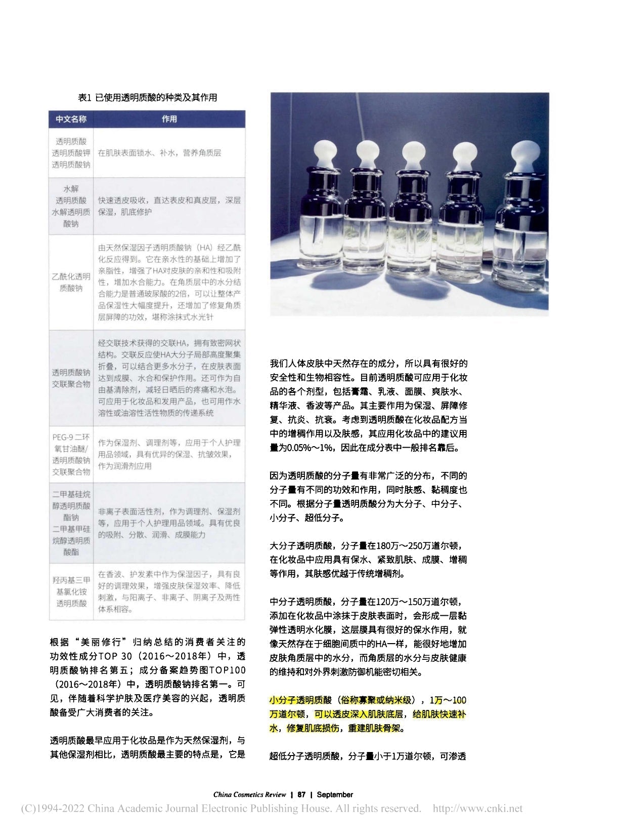 由真皮至表皮，滋養全身肌膚