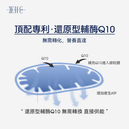 Ubiqor CoQ10 還原型(泛醇) 輔酶Q10 保護心臟健康60粒